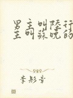 男主叫陆行舟女主叫苏晚的小说