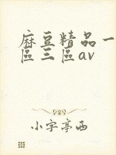 麻豆精品一区二区三区av