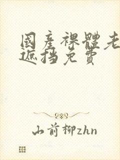 国产裸体老师无遮挡免费