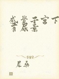 感觉子宫下坠总有尿意