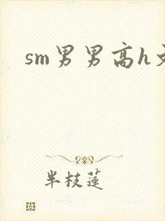 sm男男高h文