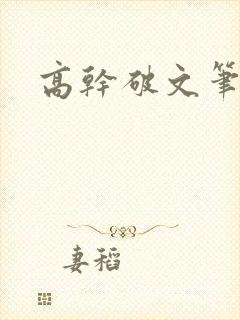 高干破文笔趣阁