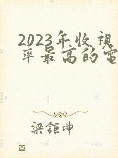 2023年收视率最高的电视剧排行榜封面