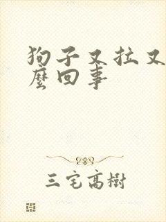 狗子又拉又吐怎么回事封面