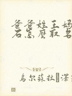 爸爸姓王妈妈姓石怎么取名