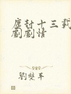 尘封十三载电视剧剧情