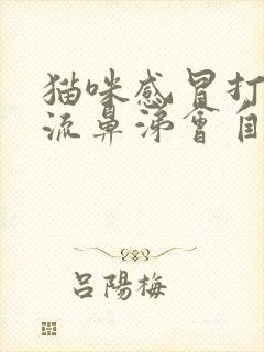 猫咪感冒打喷嚏流鼻涕会自己好吗