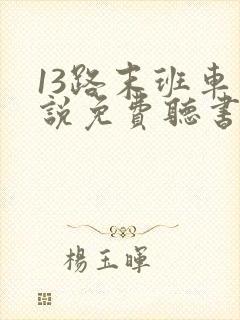 13路末班车小说免费听书
