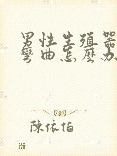 男性生殖器勃起弯曲怎么办