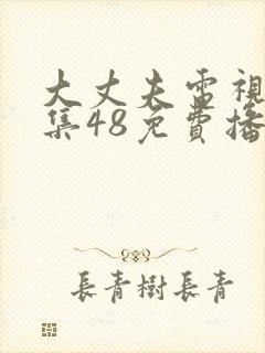 大丈夫电视剧全集48免费播放