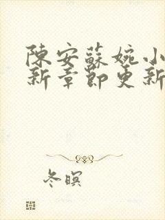 陈安苏婉小说最新章节更新内容