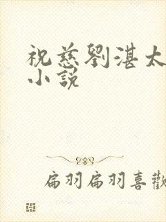 祝慈刘湛太子妃小说