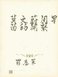 莫文蔚周星驰朱茵的关系