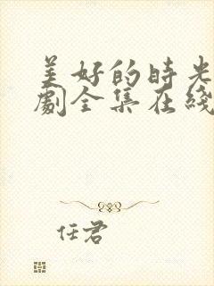 美好的时光电视剧全集在线观看免费