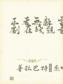 正者无敌 电视剧 在线观看封面