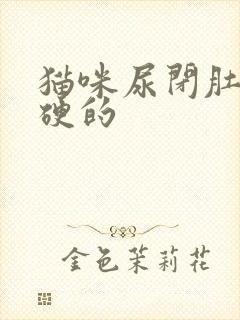 猫咪尿闭肚子硬硬的