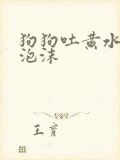 狗狗吐黄水带点泡沫