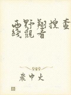 西野翔搜查官在线观看