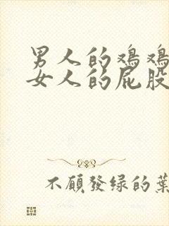 男人的鸡鸡插进女人的屁股里