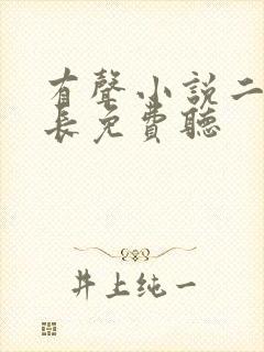 有声小说二号首长免费听