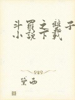 斗罗之双子斗罗小说下载