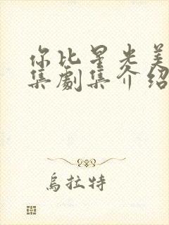 你比星光美丽分集剧集介绍