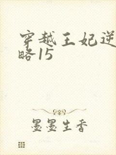 穿越王妃逆袭攻略15