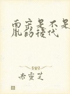 南宋是不是赵匡胤的后代