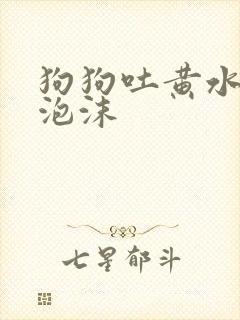 狗狗吐黄水带白泡沫