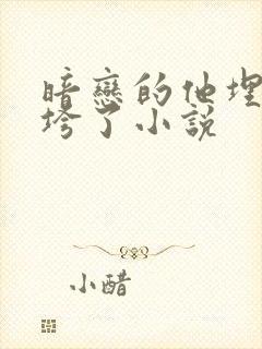 暗恋的他埋头她垮了小说