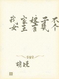 我家娘子不对劲女主有几个