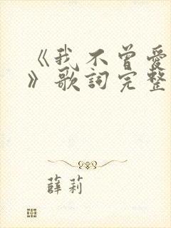 《我不曾爱过你》歌词完整版封面