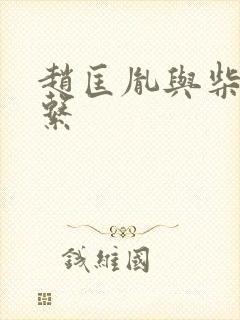 赵匡胤与柴荣关系封面