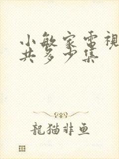 小敏家电视剧一共多少集