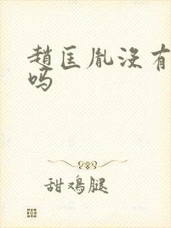 赵匡胤没有后代吗