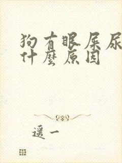 狗有眼屎尿黄是什么原因