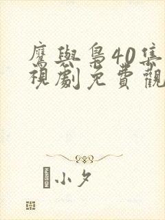 鹰与枭40集电视剧免费观看