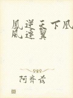 凤逆天下凰北月风连翼