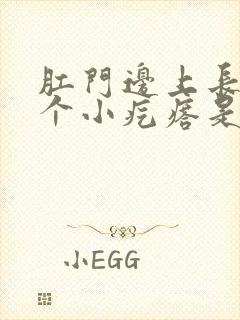 肛门边上长了一个小疙瘩是怎么回事