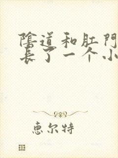 阴道和肛门之间长了一个小疙瘩