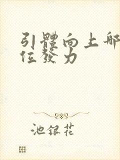 引体向上哪个部位发力