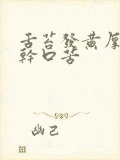 舌苔发黄厚腻口干口苦