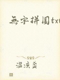 无字拼图txt封面