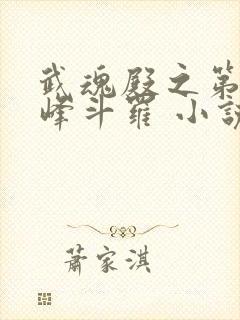 武魂殿之第一巅峰斗罗 小说