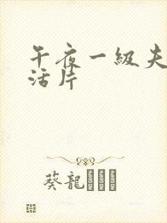 午夜一级夫妻生活片