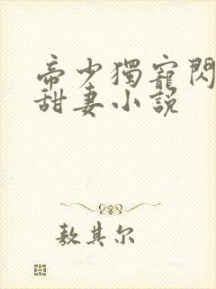 帝少独宠闪婚小甜妻小说