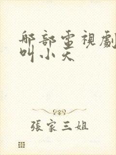 哪部电视剧有个叫小天