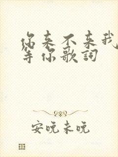 你来不来我都在等你歌词