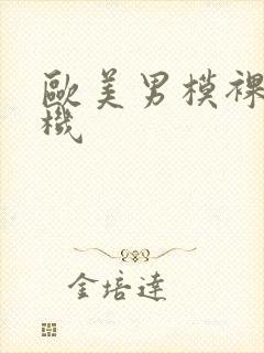 欧美男模裸体露机