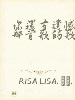 你还有遗憾吗是哪首歌的歌词